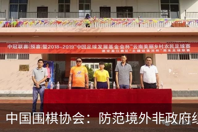 中国围棋协会：防范境外非政府组织违规开展围棋活动